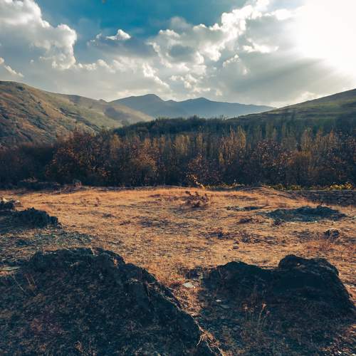 Photo #8905640