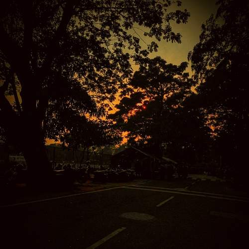 Photo #8905654