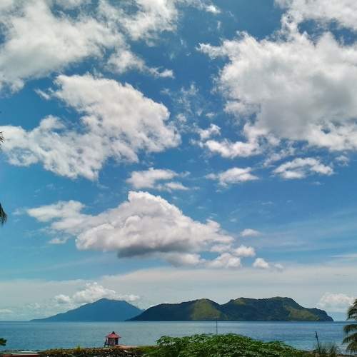 Photo #8905841