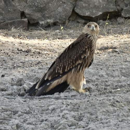 Photo #8905863