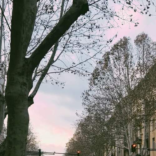 Photo #8905870