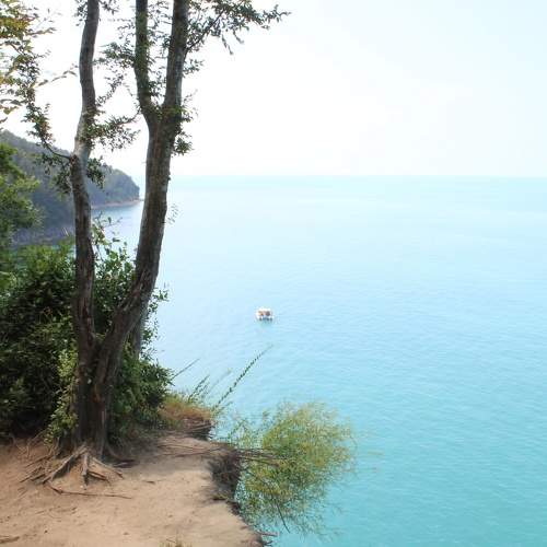Photo #8905947