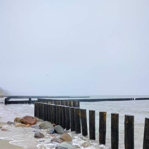 Photo #8905976