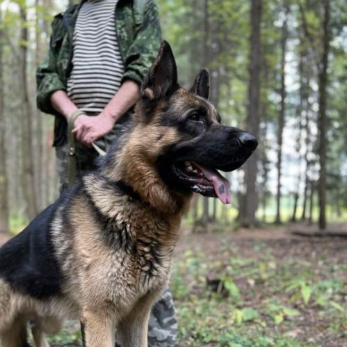 Photo #8906230