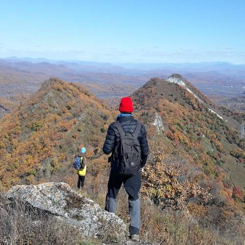 Photo #8906747