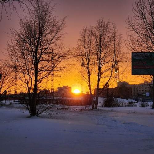 Photo #8906844