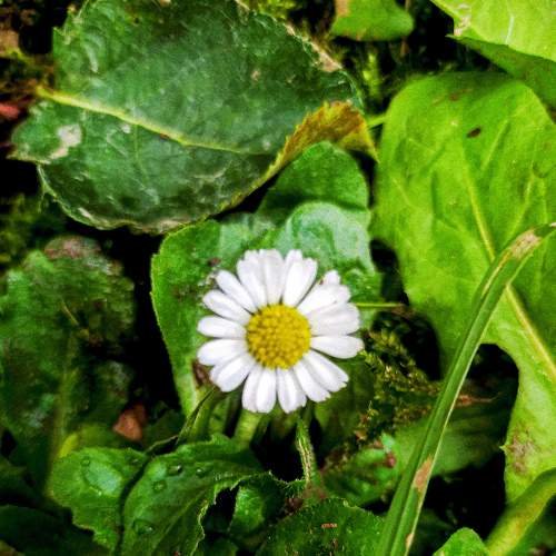 Photo #8906848