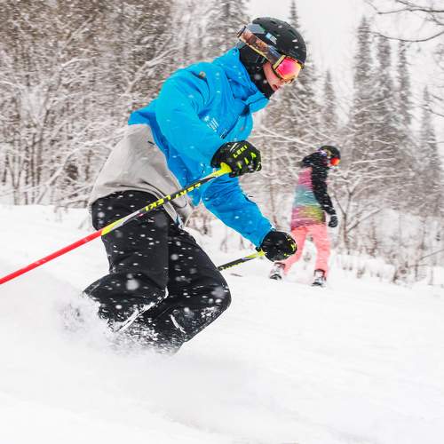 Photo #8906869