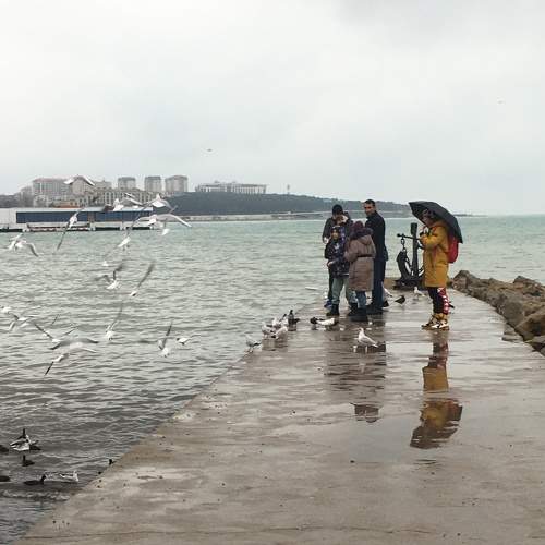 Photo #8906888