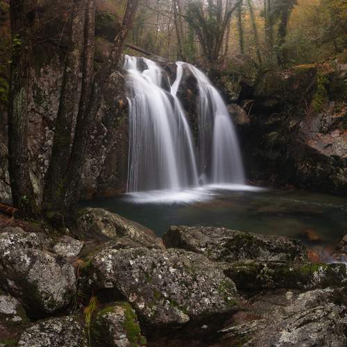 Photo #8906892
