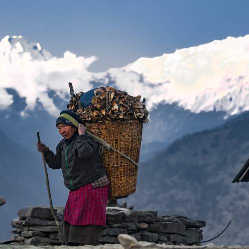 A women with the fodder