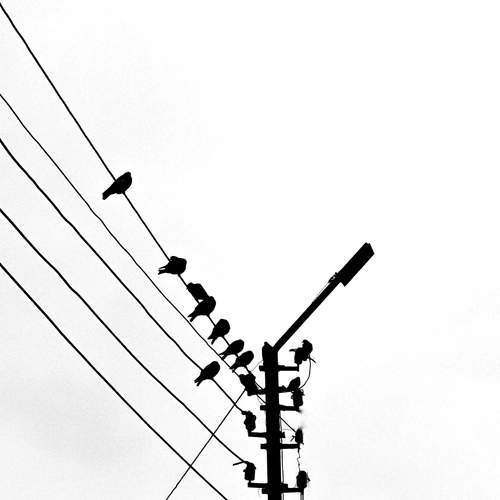 Photo #8906923