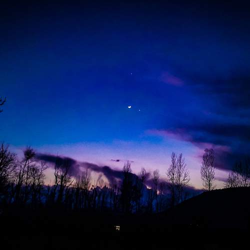 Photo #8906924