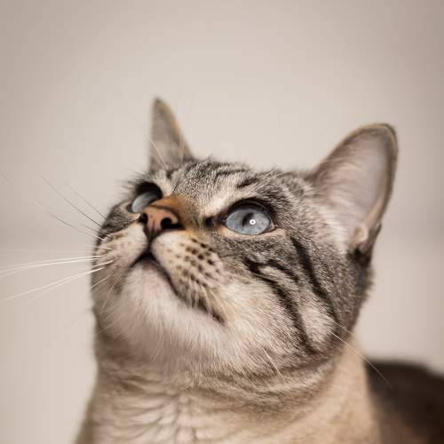 Photo #8907036