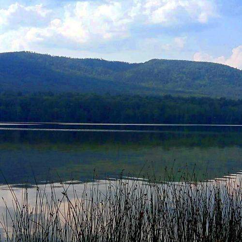 Photo #8907077