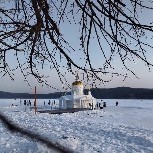 Photo #8907119