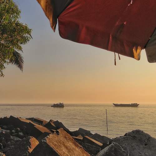 Photo #8907231