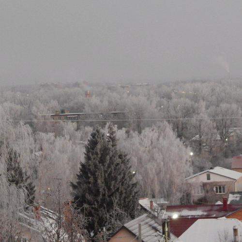 Photo #8907284