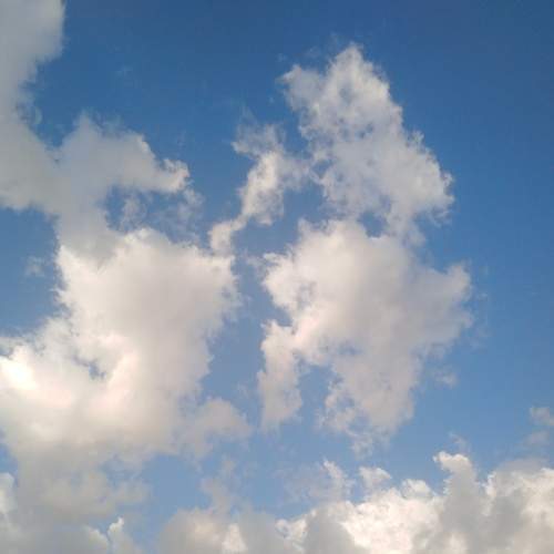Photo #8907369