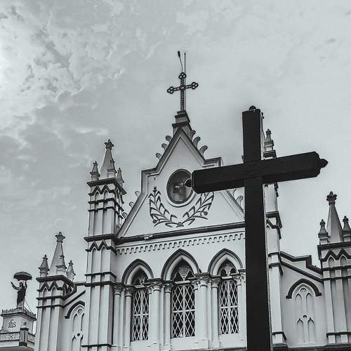 Photo #8907602
