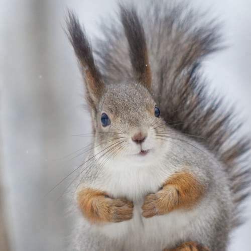 Photo #8907760