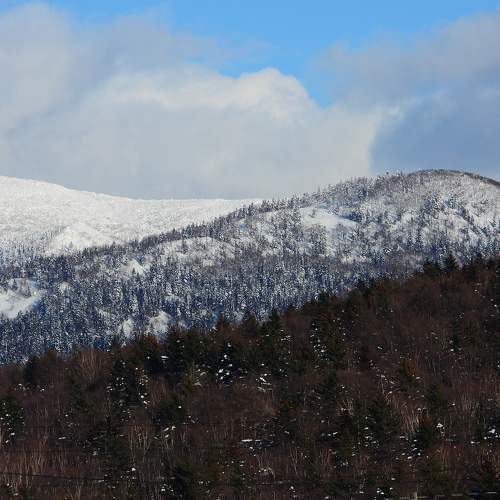 Photo #8908056