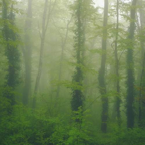 Photo #8908164