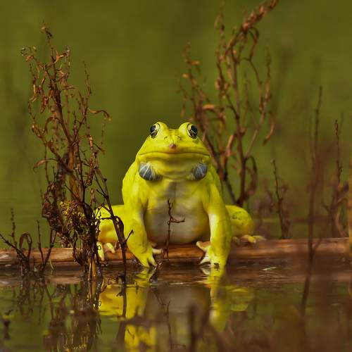 Photo #8908199