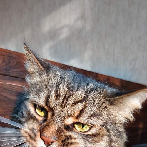Photo #8908209