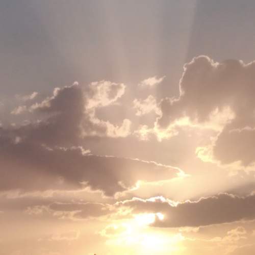 Photo #8908217