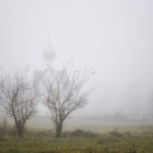 Photo #8908218