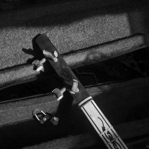 Photo #8908390