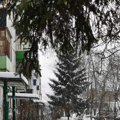 Photo #8908436