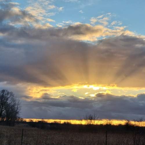 Photo #8908589