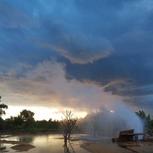 Photo #8909436