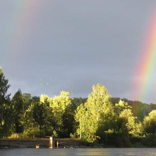 Photo #8909543