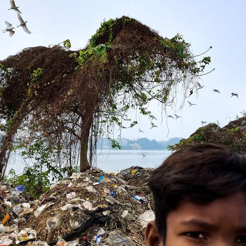 Life in the rubbish heap.