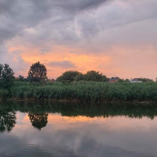 Photo #8909642