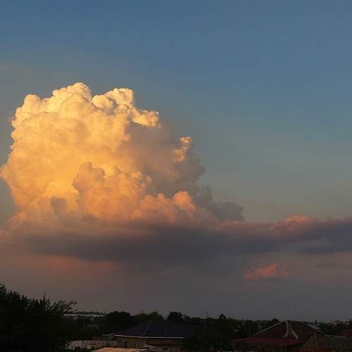 Photo #8909739