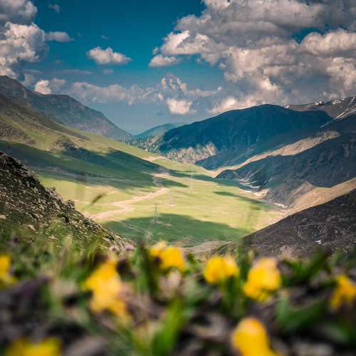 Photo #8909749