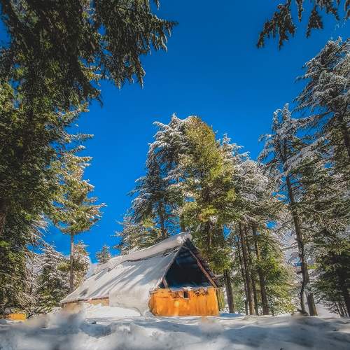 Photo #8909750