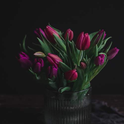 Фотография #8909940