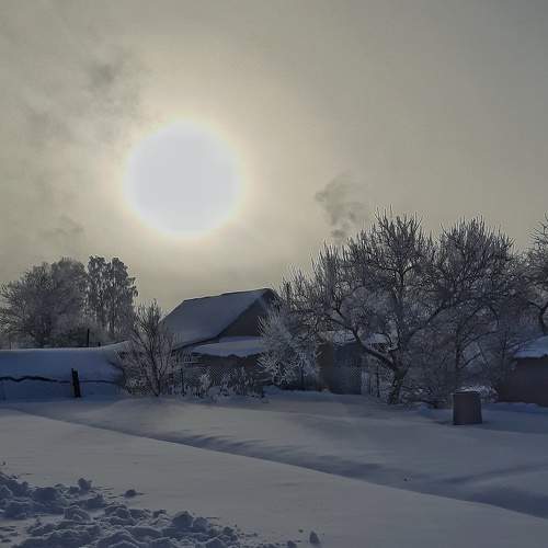 Photo #8909969