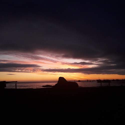 Photo #8909987