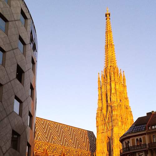 Photo #8910043