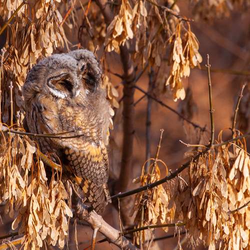 Photo #8910203
