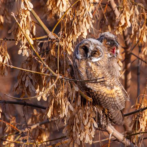 Photo #8910207