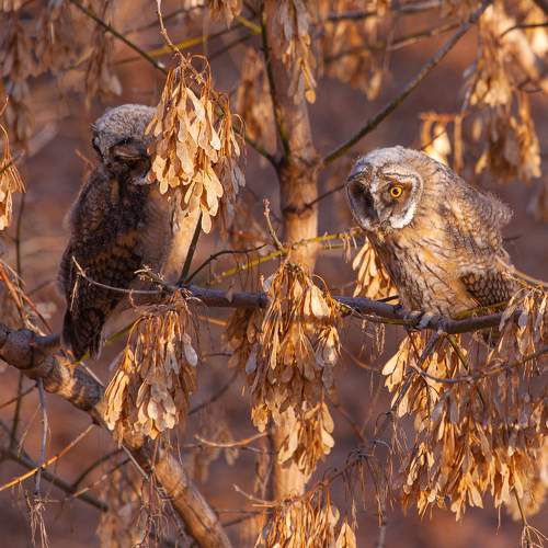 Photo #8910208