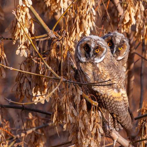 Photo #8910209