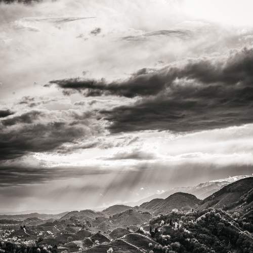 Photo #8910304